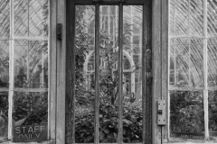 Orangerie Muckross Garden